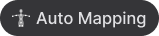 Auto Mapping.png