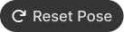 Reset Pose.png